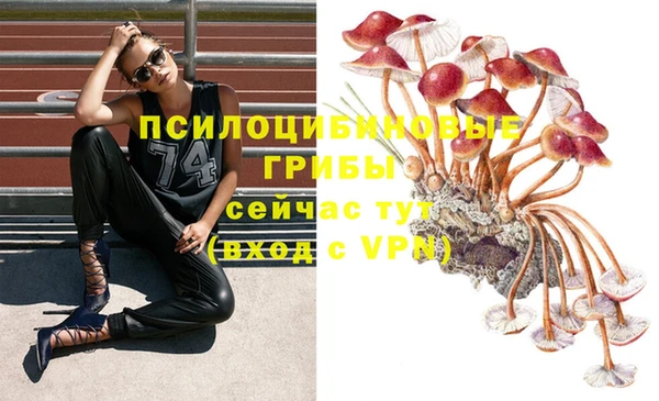 героин Рославль